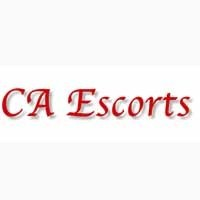  is Female Escorts. | St Catharines | Ontario | Canada | canadapleasure.com 