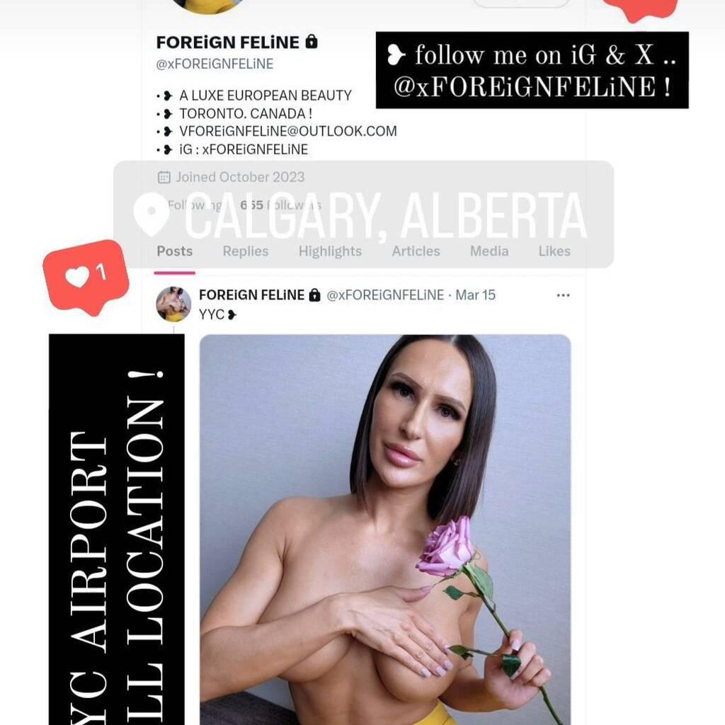 • V E S N A • is Female Escorts. | Calgary | Alberta | Canada | canadapleasure.com 