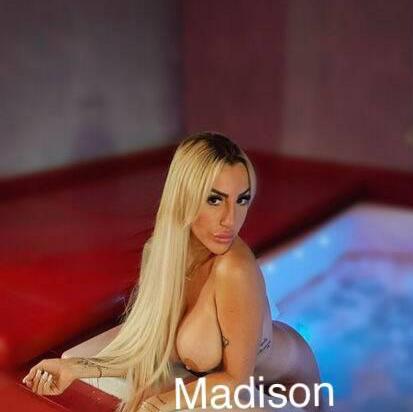 Madison is Female Escorts. | Edmonton | Alberta | Canada | canadapleasure.com 