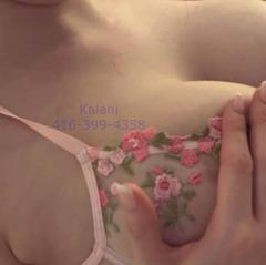 kalani 416,399,4358 is Female Escorts. | Toronto | Ontario | Canada | canadapleasure.com 