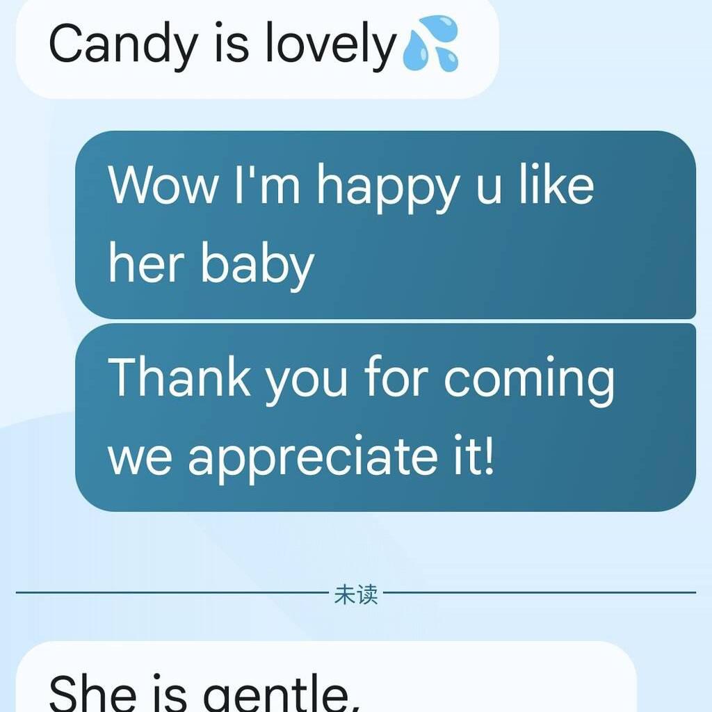 
                        Candy
                     is Female Escorts. | Quebec City | Quebec | Canada | canadapleasure.com 