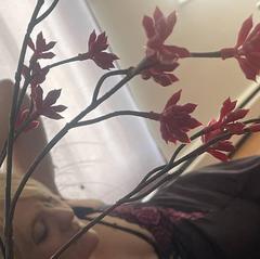 
                        sinderella
                     is Female Escorts. | Ft Mcmurray | Alberta | Canada | canadapleasure.com 