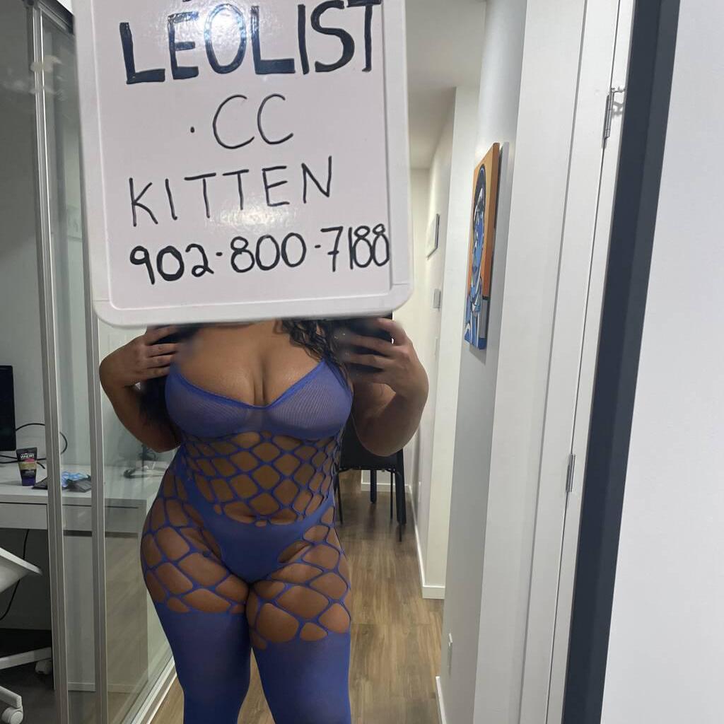 
                        Kitten
                     is Female Escorts. | belleville | Ontario | Canada | canadapleasure.com 