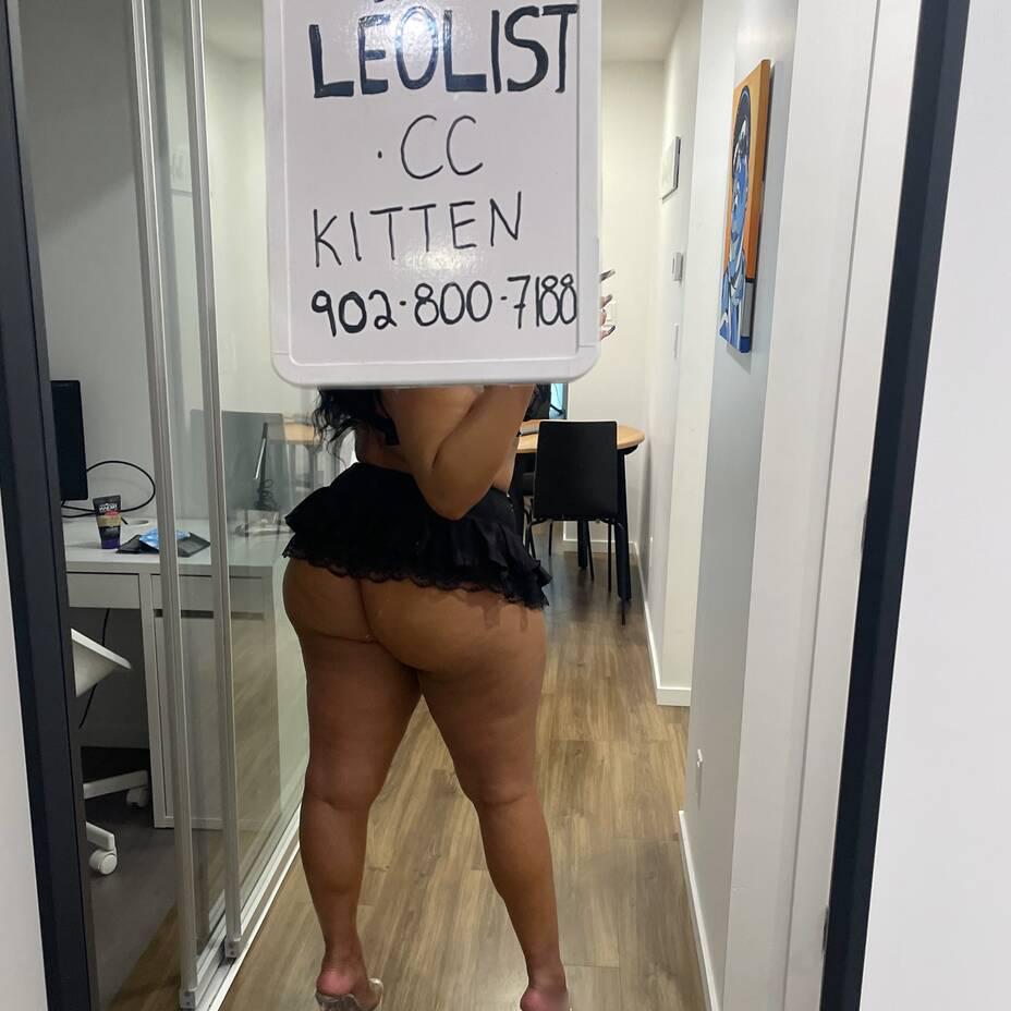 
                        Kitten
                     is Female Escorts. | belleville | Ontario | Canada | canadapleasure.com 