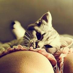 
                        Eva
                     is Female Escorts. | Owen Sound | Ontario | Canada | canadapleasure.com 