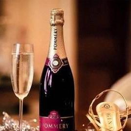 
                        Sasha
                     is Female Escorts. | Ft Mcmurray | Alberta | Canada | canadapleasure.com 