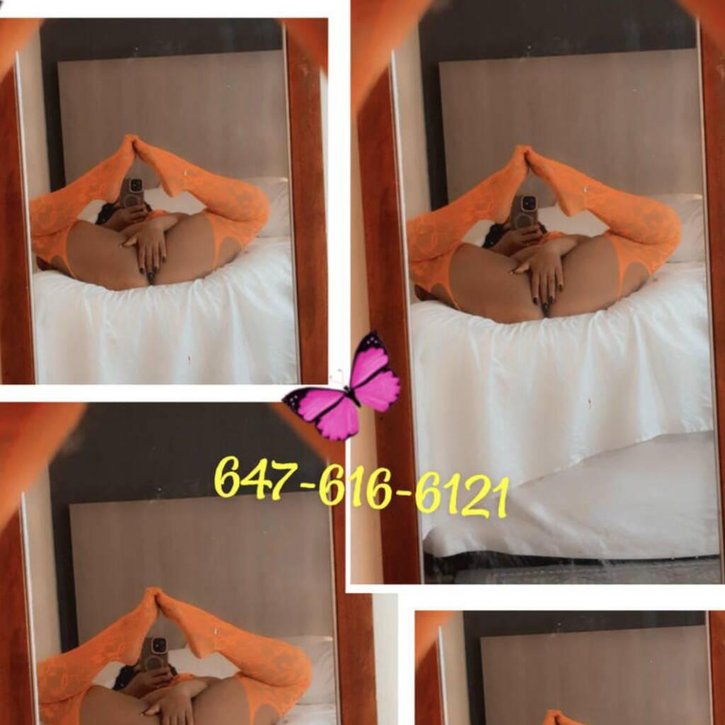 
                        Kristina
                     is Female Escorts. | Edmonton | Alberta | Canada | canadapleasure.com 