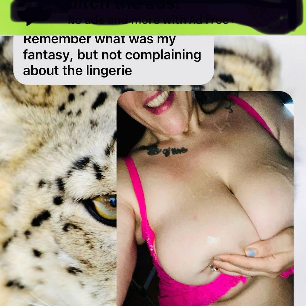 
                        BROOKLYNN AUG 16-18 2025
                     is Female Escorts. | Thunder Bay | Ontario | Canada | canadapleasure.com 