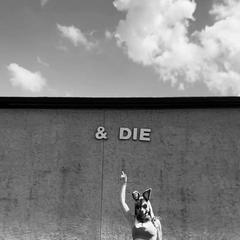 
                        Just sum girl you kno
                     is Female Escorts. | belleville | Ontario | Canada | canadapleasure.com 