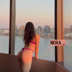 
                        Bug
                     is Female Escorts. | windsor | Ontario | Canada | canadapleasure.com 