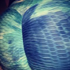 
                        Ashlee Dawn
                     is Female Escorts. | Grande Prairie | Alberta | Canada | canadapleasure.com 