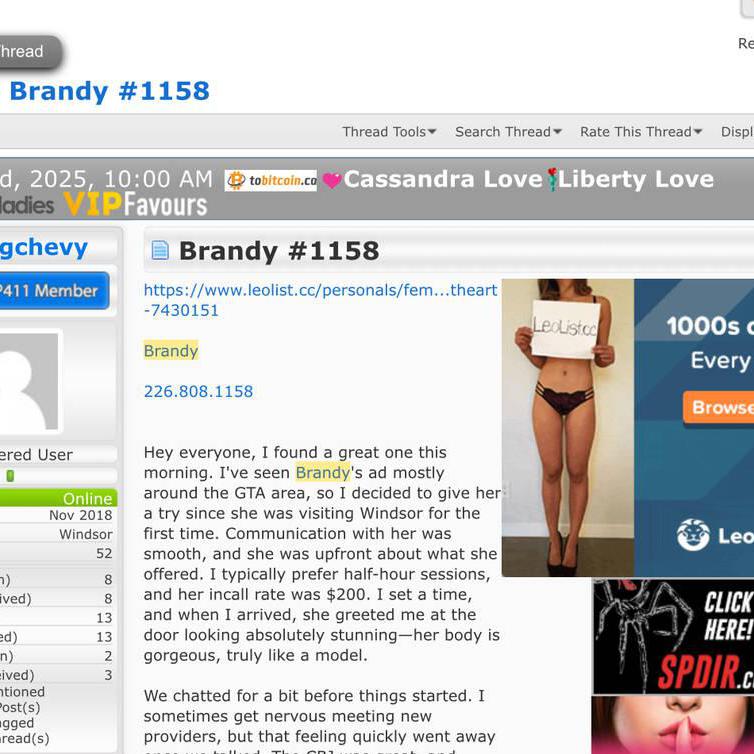 
                        Brandy
                     is Female Escorts. | windsor | Ontario | Canada | canadapleasure.com 