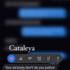 
                        Cataleya
                     is Female Escorts. | Hamilton | Ontario | Canada | canadapleasure.com 