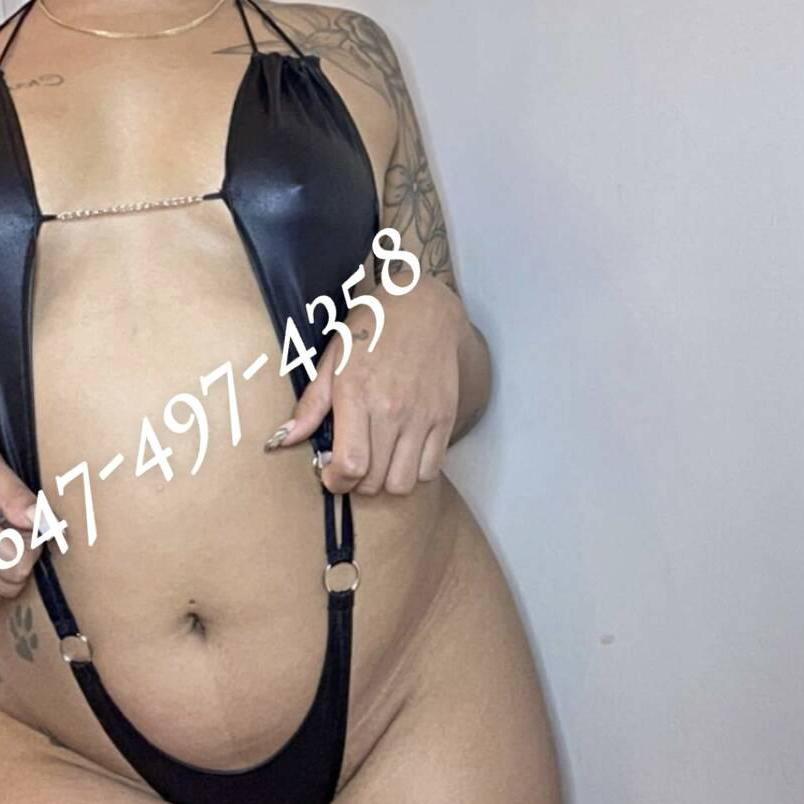 
                        Hazel
                     is Female Escorts. | Sudbury | Ontario | Canada | canadapleasure.com 