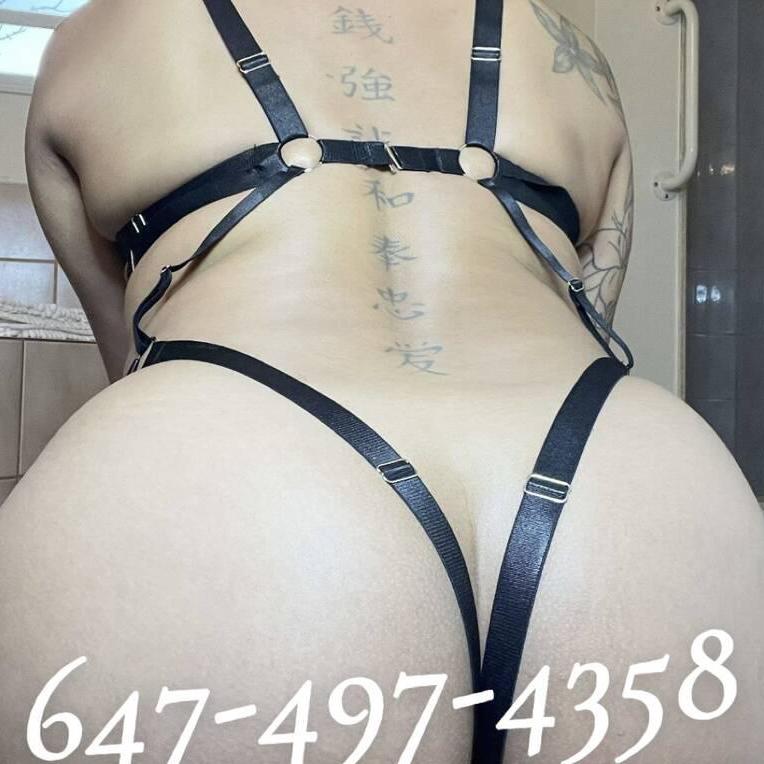 
                        Hazel
                     is Female Escorts. | Sudbury | Ontario | Canada | canadapleasure.com 