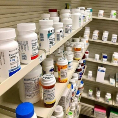 Lizzy is Female Escorts. | Vancouver | British Columbia | Canada | canadapleasure.com 