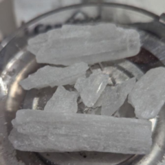 Lizzy is Female Escorts. | Woodbridge | Ontario | Canada | canadapleasure.com 