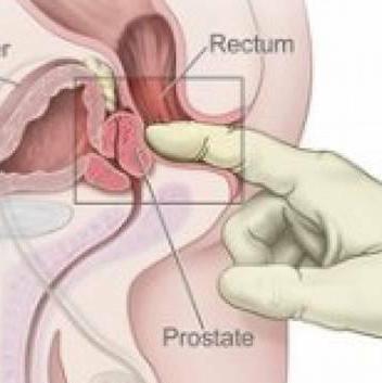 
                        Mia
                     is Female Escorts. | Toronto | Ontario | Canada | canadapleasure.com 