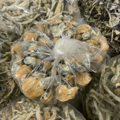 Lizzy is Female Escorts. | Cariboo | British Columbia | Canada | canadapleasure.com 