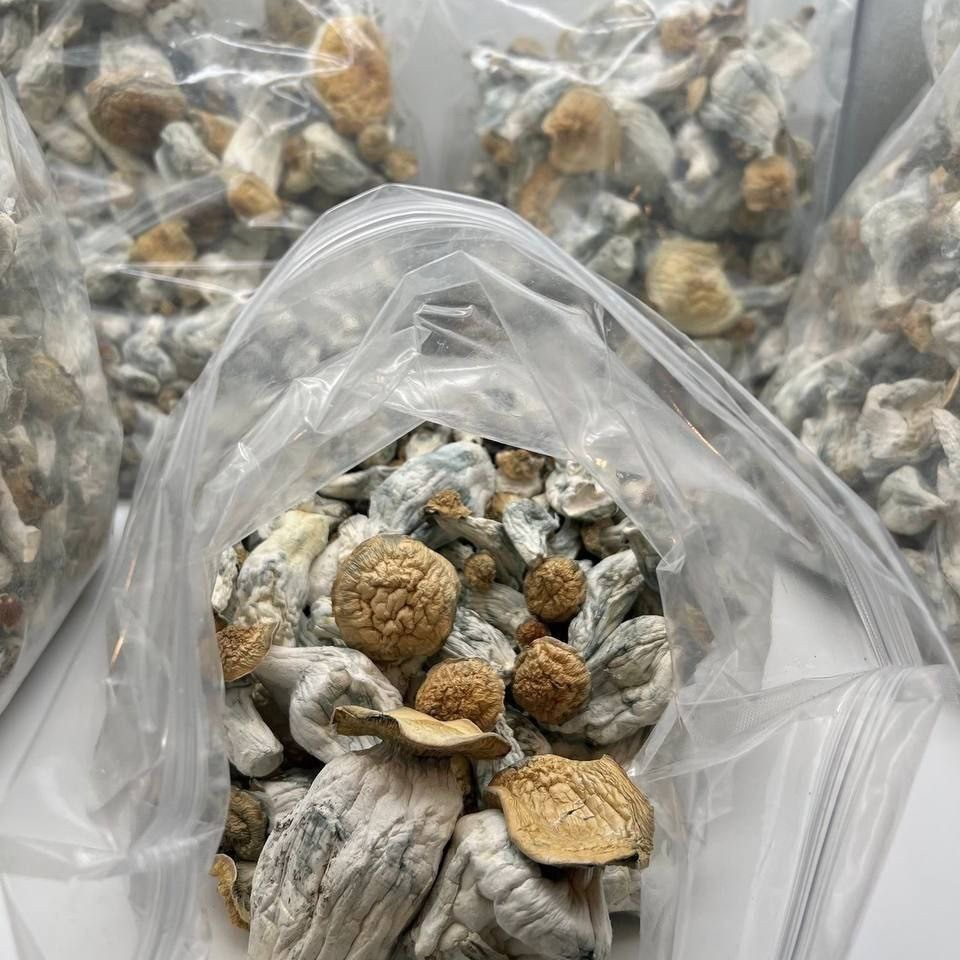 Lizzy is Female Escorts. | Pickering | Ontario | Canada | canadapleasure.com 