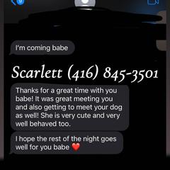 
                        Scarlett
                     is Female Escorts. | Kitchener | Ontario | Canada | canadapleasure.com 