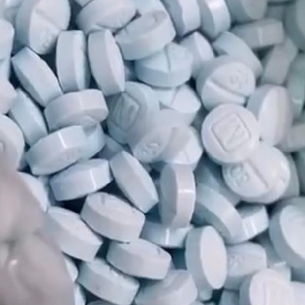 Emile is Female Escorts. | Montreal | Quebec | Canada | canadapleasure.com 