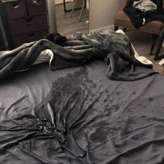 
                        Eva
                     is Female Escorts. | Saguenay | Quebec | Canada | canadapleasure.com 