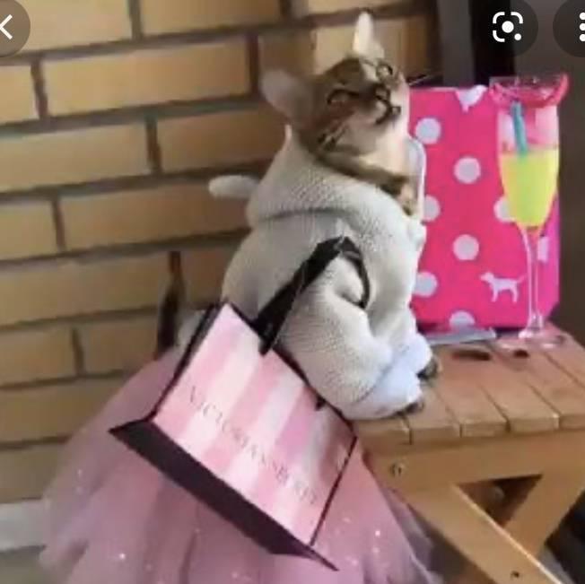 
                        Lexi-Lee
                     is Female Escorts. | Niagara | Ontario | Canada | canadapleasure.com 