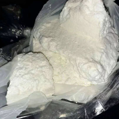 Zoe is Female Escorts. | Quebec | Quebec | Canada | canadapleasure.com 