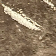 Emile is Female Escorts. | Lethbridge | Alberta | Canada | canadapleasure.com 