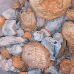 Emile is Female Escorts. | Abbotsford | British Columbia | Canada | canadapleasure.com 