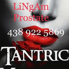 
                        CLEAN SECURE EXPERIENCED
                     is Female Escorts. | Quebec City | Quebec | Canada | canadapleasure.com 