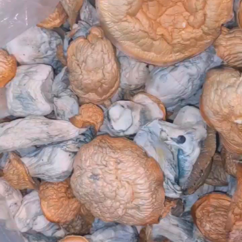 Emile is Female Escorts. | Abbotsford | British Columbia | Canada | canadapleasure.com 