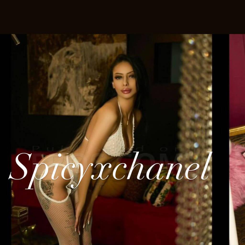 
                        Celine Calvino
                     is Female Escorts. | Barrie | Ontario | Canada | canadapleasure.com 