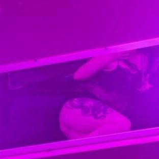 
                        Wynter Ross
                     is Female Escorts. | Kitchener | Ontario | Canada | canadapleasure.com 