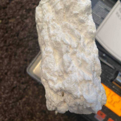 Lizzy is Female Escorts. | Nova Scotia | Nova Scotia | Canada | canadapleasure.com 