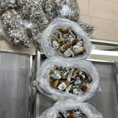 Lizzy is Female Escorts. | Red Deer | Alberta | Canada | canadapleasure.com 