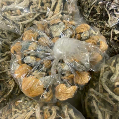 Lizzy is Female Escorts. | Yukon | Yukon | Canada | canadapleasure.com 