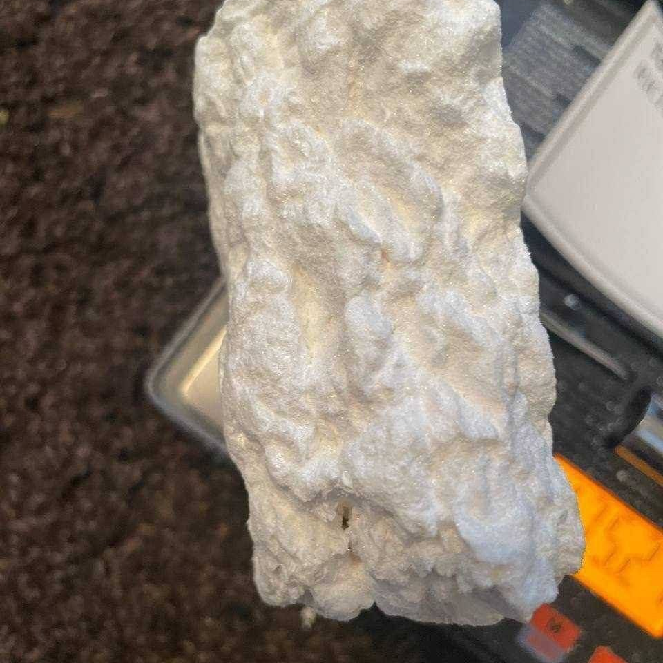 Lizzy is Female Escorts. | Abbotsford | British Columbia | Canada | canadapleasure.com 