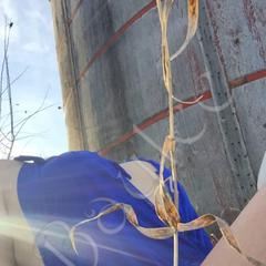 
                        Baylee Shots
                     is Female Escorts. | Peace River Country | British Columbia | Canada | canadapleasure.com 