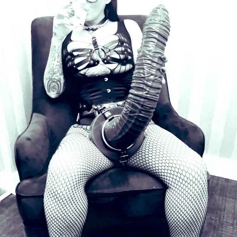 
                        Rabbit
                     is Female Escorts. | Vancouver | British Columbia | Canada | canadapleasure.com 