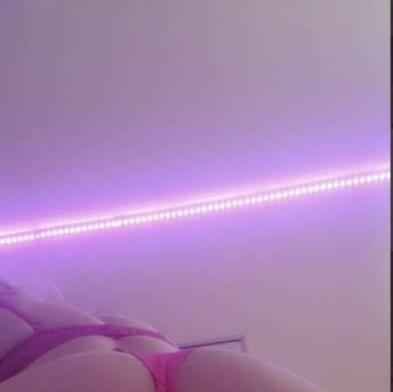 
                        sunshinexo
                     is Female Escorts. | Sudbury | Ontario | Canada | canadapleasure.com 