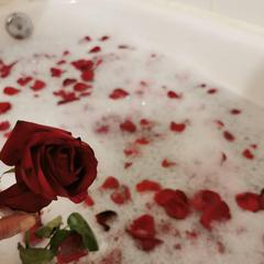 
                        Sbhunny
                     is Female Escorts. | Edmonton | Alberta | Canada | canadapleasure.com 