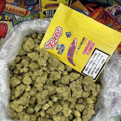 Kaytie Smith is Female Escorts. | Windsor | Ontario | Canada | canadapleasure.com 