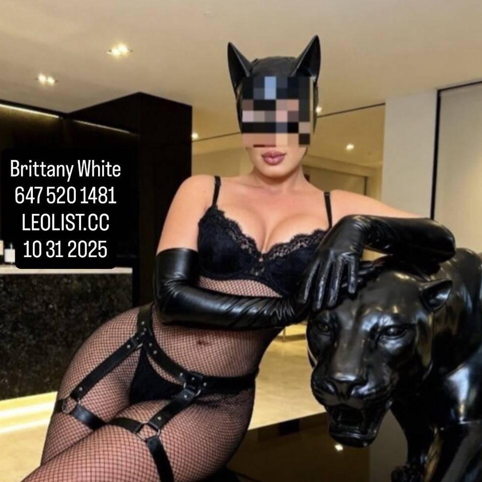 
                        Brittany 647.520.1481
                     is Female Escorts. | Kitchener | Ontario | Canada | canadapleasure.com 