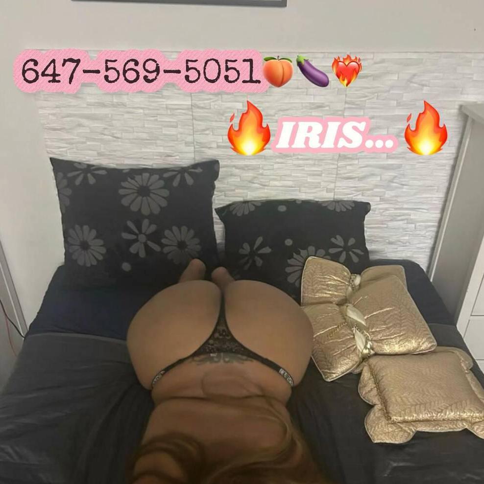 
                        Iris
                     is Female Escorts. | Toronto | Ontario | Canada | canadapleasure.com 