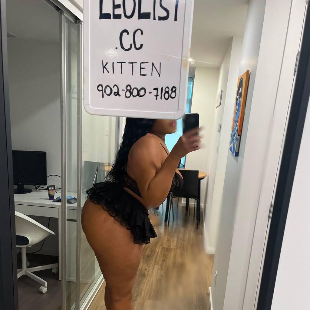 
                        Kitten
                     is Female Escorts. | Edmonton | Alberta | Canada | canadapleasure.com 