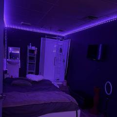 
                        Harem
                     is Female Escorts. | Edmonton | Alberta | Canada | canadapleasure.com 