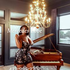 
                        Mercedes THE MOST WANTED
                     is Female Escorts. | Kitchener | Ontario | Canada | canadapleasure.com 