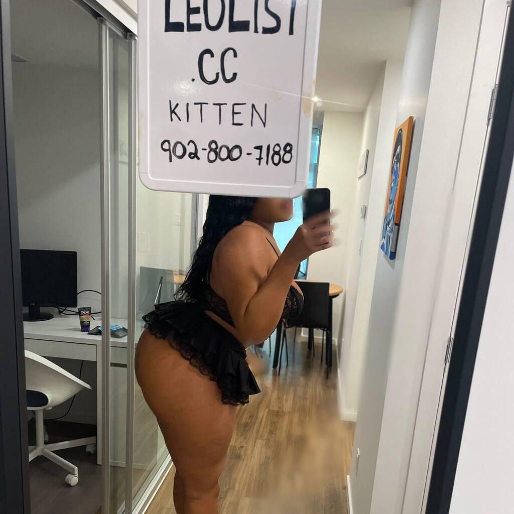 
                        Kitten
                     is Female Escorts. | Regina | Saskatchewan | Canada | canadapleasure.com 